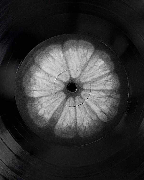 Vita-Normale